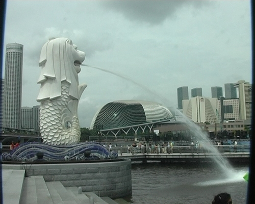 Product picture Singapore Saradaalu